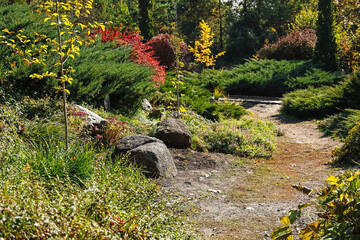 Panorama of beautiful autumn park