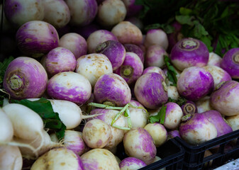 Pile of turnips at the farmers market. High quality photo