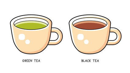 Green and black tea cup isolated