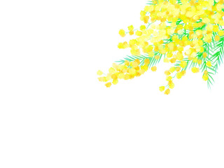ミモザのイラスト 