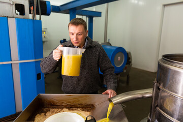 Focused man working in handicraft olive oil producing factory, inspecting first pressing of olives and oil decanting