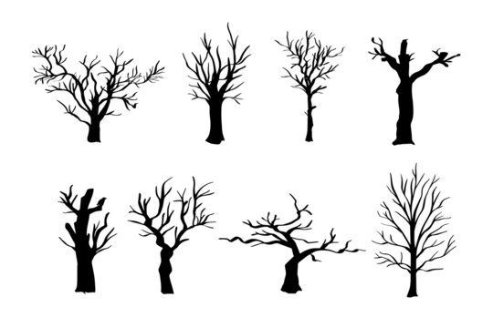 Dead tree silhouettes. dying black scary trees forest illustration. natural dying old tree of set