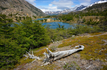 pristine nature at Perito Moreno national park, patagonia, Argentina