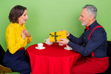 Profile photo of peaceful lovely partners give receive giftbox restaurant isolated on green color background