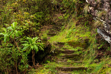 Stone steps at a path section of the “Vereda da Encumeada” hiking trail, which connects Pico...