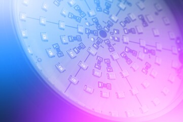 Abstract background with color gradient and blurred LED phyto lamp. Trendy neon light. Purple, blue, pink, cyan