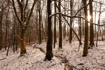 Small footpath leading trough a snow-covered winter forest in beautiful light, Ith Ridge, Weser Uplands, Lower Saxony, Germany