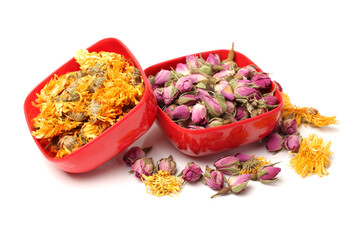 tea rose flowers on white background