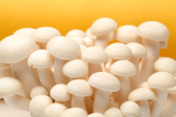 Fototapeta na wymiar shimeji mushrooms white varieties background