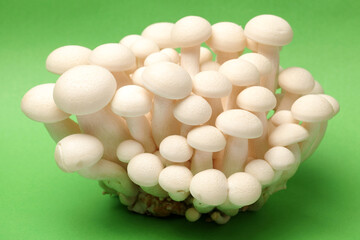 shimeji mushrooms background