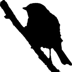 Vecteur à fond transparent d'oiseau, silhouette rouge-gorge, mésange et passereau sur branche.