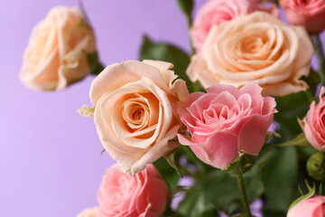 Fototapeta na wymiar Bouquet of beautiful roses on purple background, closeup