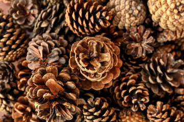 Heap of pine cones as background, closeup