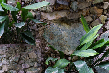 Textured old cobblestone wall with green plants. Background of grey rock wall. 