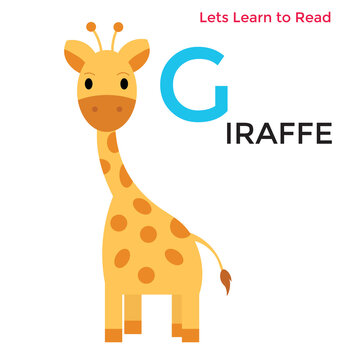 Animal alphabet or reading education animal names. Cute Animal Alphabet. lion, fox, elephant, horse, giraffe, sea lion
