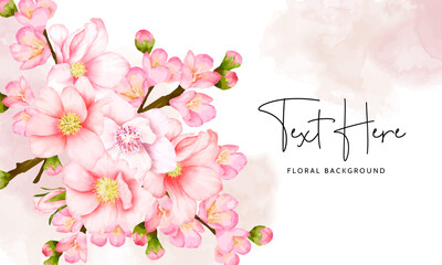 Obraz na płótnie Canvas beautiful floral background cherry blossom flower