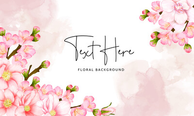 Fototapeta na wymiar beautiful floral background cherry blossom flower