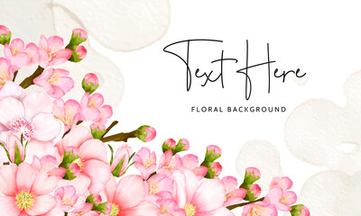 beautiful floral background cherry blossom flower