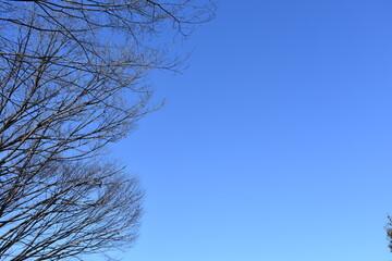 地方の名所　埼玉県　白岡総合運動公園