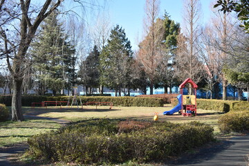 埼玉県　白岡市　白岡市役所　周辺の風景　公園