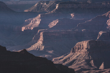Branches of the Canyon Separate with Evening Light