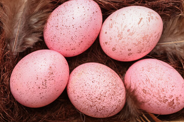 Beautiful Easter eggs and feathers, closeup