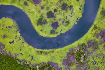 Amazing curves of Skadar Lake in National Park in Montenegro, aerial view