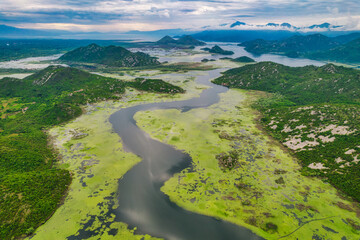 Amazing curves of Skadar Lake in National Park in Montenegro, aerial view - 482755303