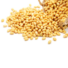 soybean isolated on white background