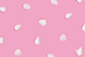 Pattern from white rose flower petals, many flying flower petals on pink background. Valentines Day, Mothers Day holiday concept. Flat lay flowers composition, top view