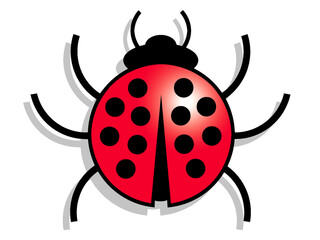 Close-up of a ladybird