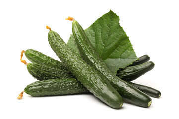 cucumber isolated on white background