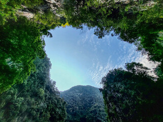 Fototapeta na wymiar Look up view towards limestone hills in Tasik Cermin, Ipoh, Malaysia.