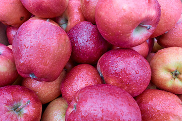 Delicious red deluxe apples lie in the rain on the counter in the market.