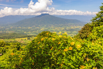Fototapeta premium Landscape of Phu-pa-pao mountain at Loei province, Thailand.