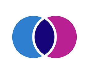 Venn diagram circles chart infographic. Vector design elements for business strategy presentation.