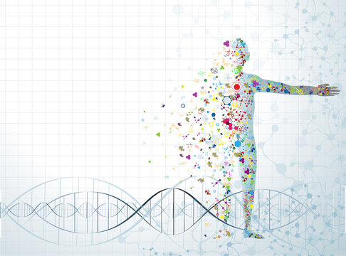 molecule body concept of the human DNA vector chemistry science illustration