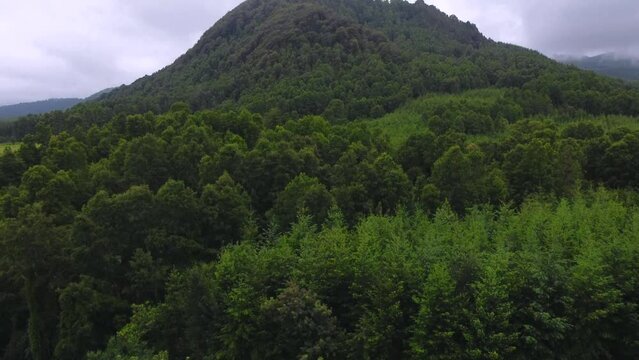 Monta&ntilde;a verde con hermosos &aacute;rboles selv&aacute;ticos vista desde el aire nos invita a cuidar el planeta.