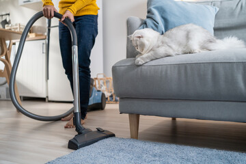 Close up hands of woman vacuuming dust and fur on sofa from little cat