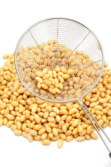 soybean isolated on white background