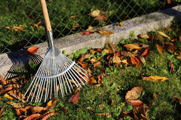leaf rake in evening sun on the fence