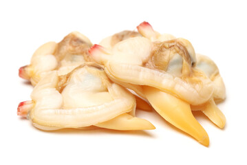 clam meat on white background 