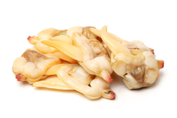 clam meat on white background 