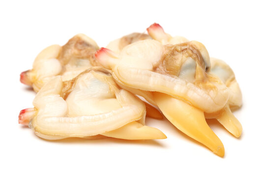 clam meat on white background 