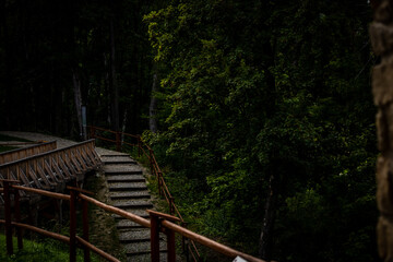 schody  w lesie