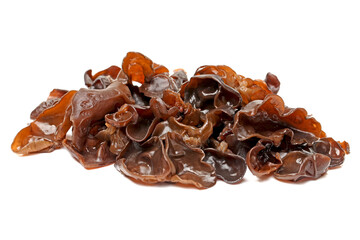 black fungus on white background