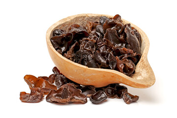 black fungus on white background