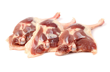 Duck legs on white background 