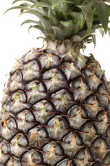 Fototapeta premium pineapple close up