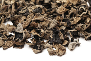 black fungus on white background